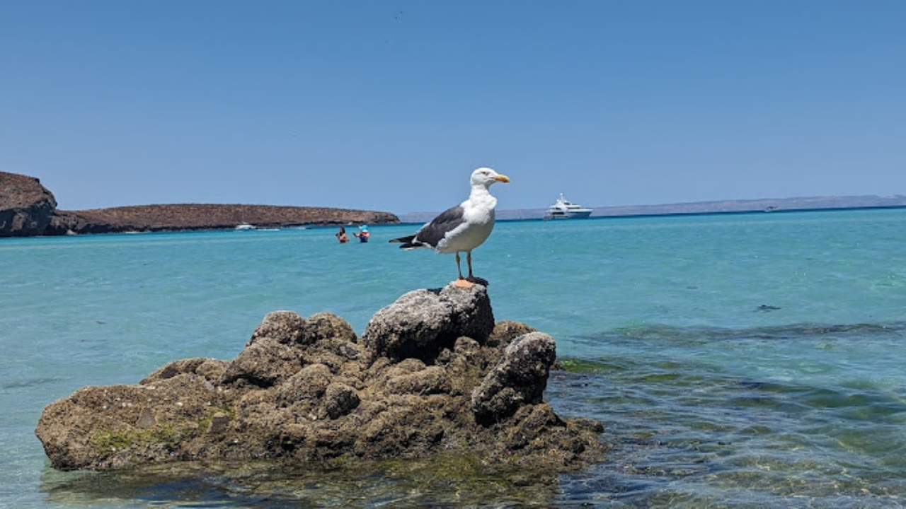 Exploring the Balandra Lagoon