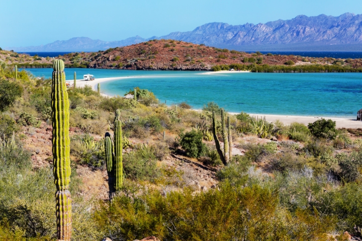 baja-clifornia-landscape