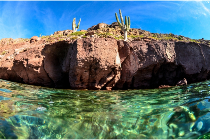 snorkel-in-crystal-clear-water