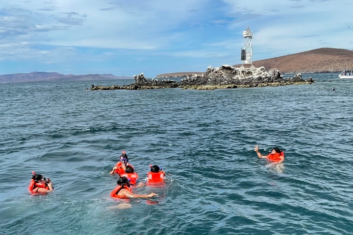 Snorkelers at San Refaelito. Swimming with sea lions.