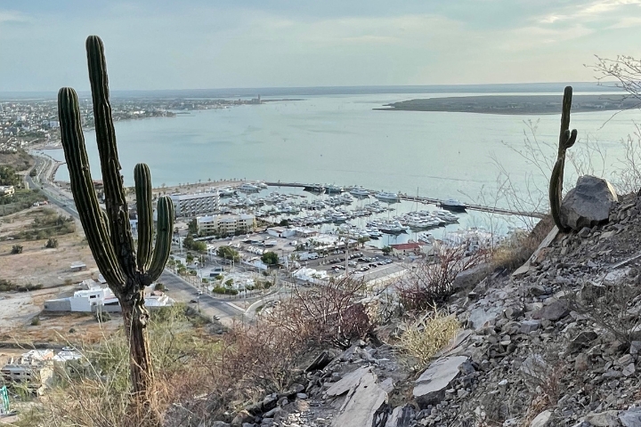 La Paz Bay from Palmira Hills