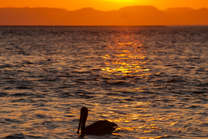 La Paz Sunset Bay Cruise - sunset over the Baja Mountains