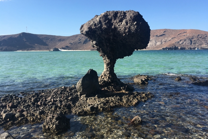 El Hongo - The mushroom at Balandra Bay. See on a Balandra Bay Yacht Charter.