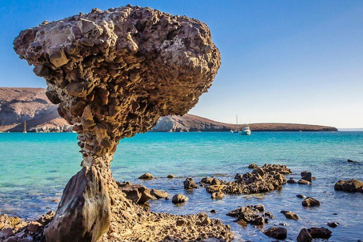 The iconic mushroom at Balandra Bay