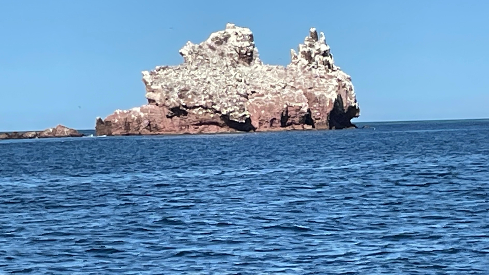 Los Islotes, Espiritu Santo Island