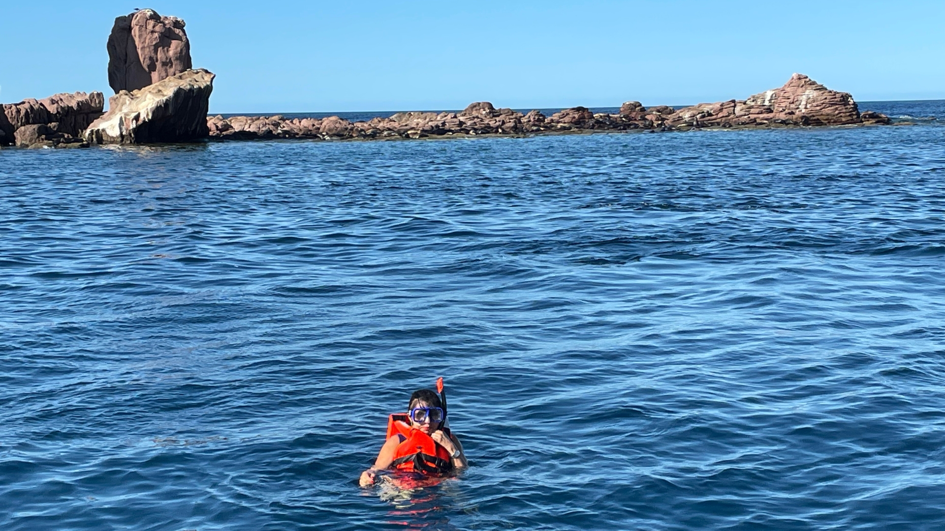 Snorkeller in front of the sea lion colony at Los Islotes, Espiritu Santo