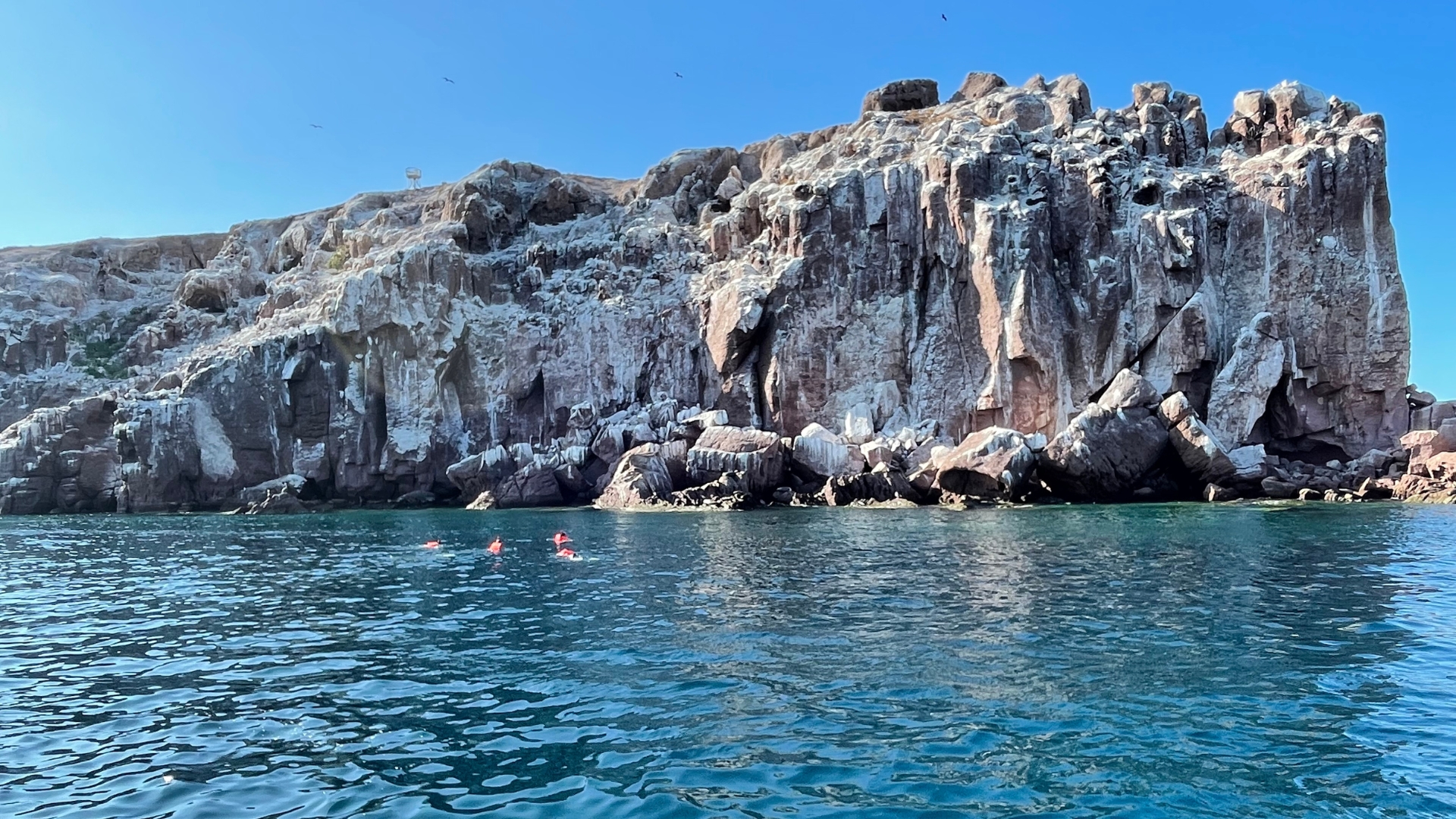 swimmers-at-los-islotes