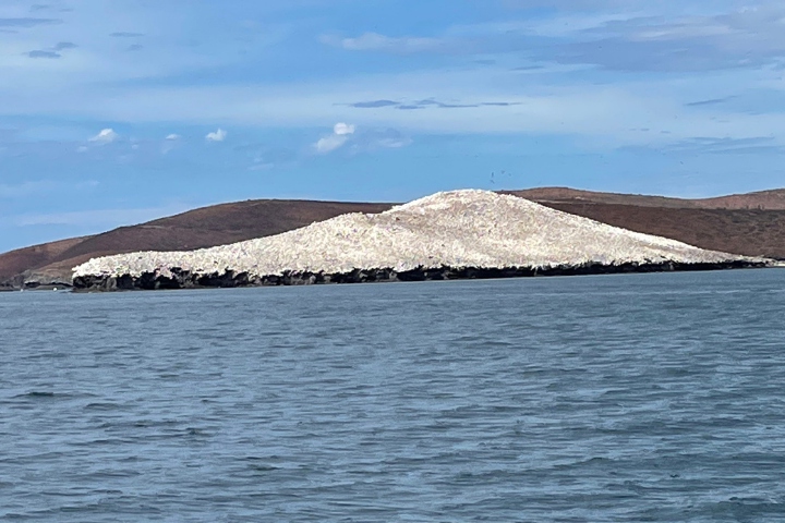 The white island - La Gaviotas